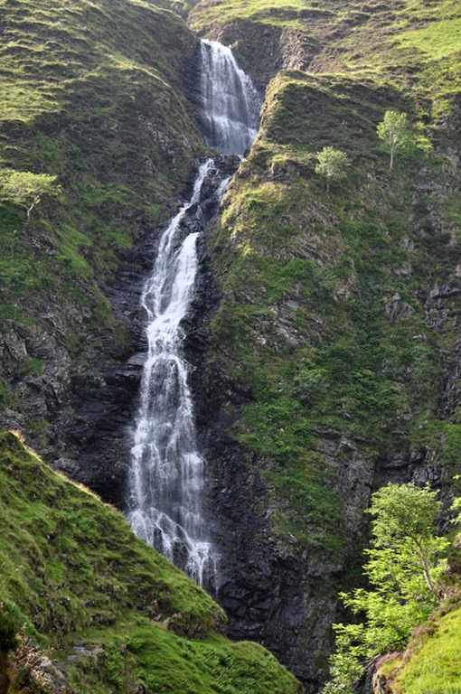 [Grey%2520Mare%2527s%2520Tail%255B3%255D.jpg]