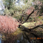 DSCN2994.JPG