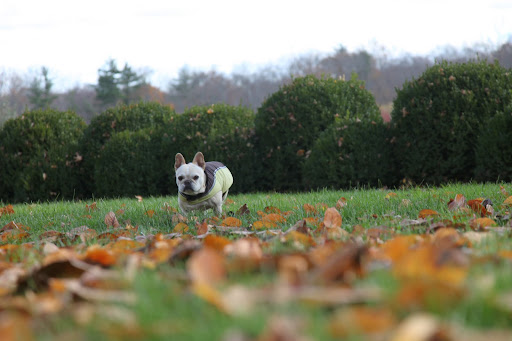 Well Francesca, I guess that's why they call it fall!
