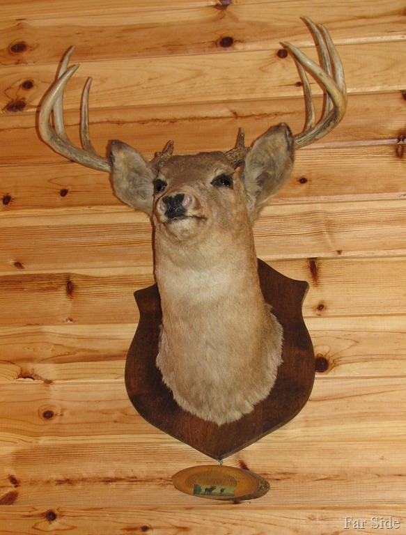 [Deer%2520Upstairs%255B10%255D.jpg]