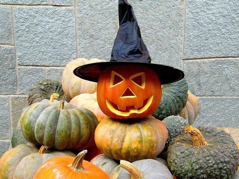 Halloween In Hat, Halloween