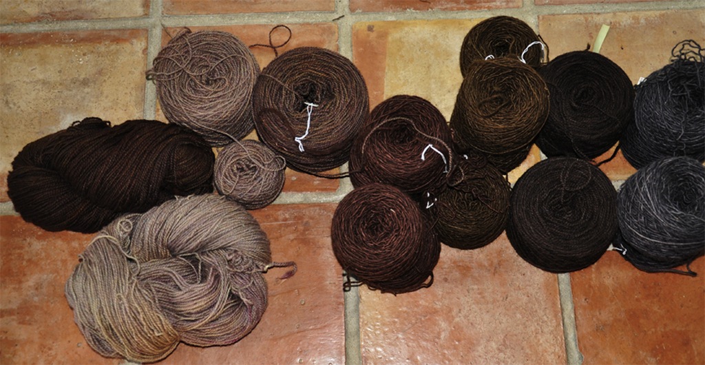 [Browns%255B3%255D.jpg]