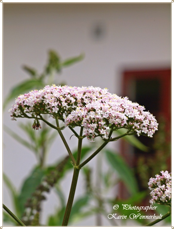 [1-P1016263RCrm8.jpg]