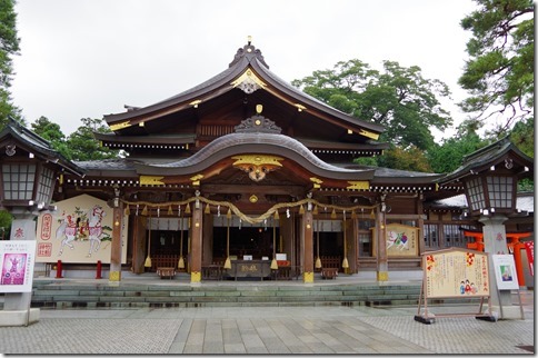 IMGP8784 IMGP8784