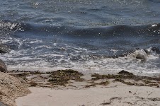 DSC_0606.JPG