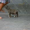 IMG_7875.JPG