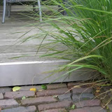 vijvertuin