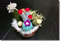 crochet cactus 8