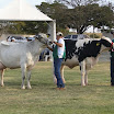 superleite2011_dia1607_70.JPG