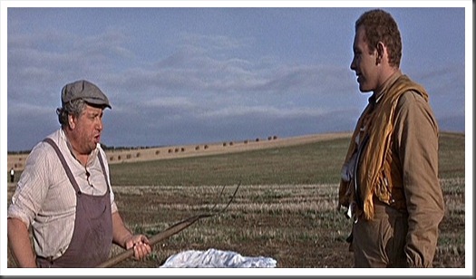 77. Pole vs pitch fork