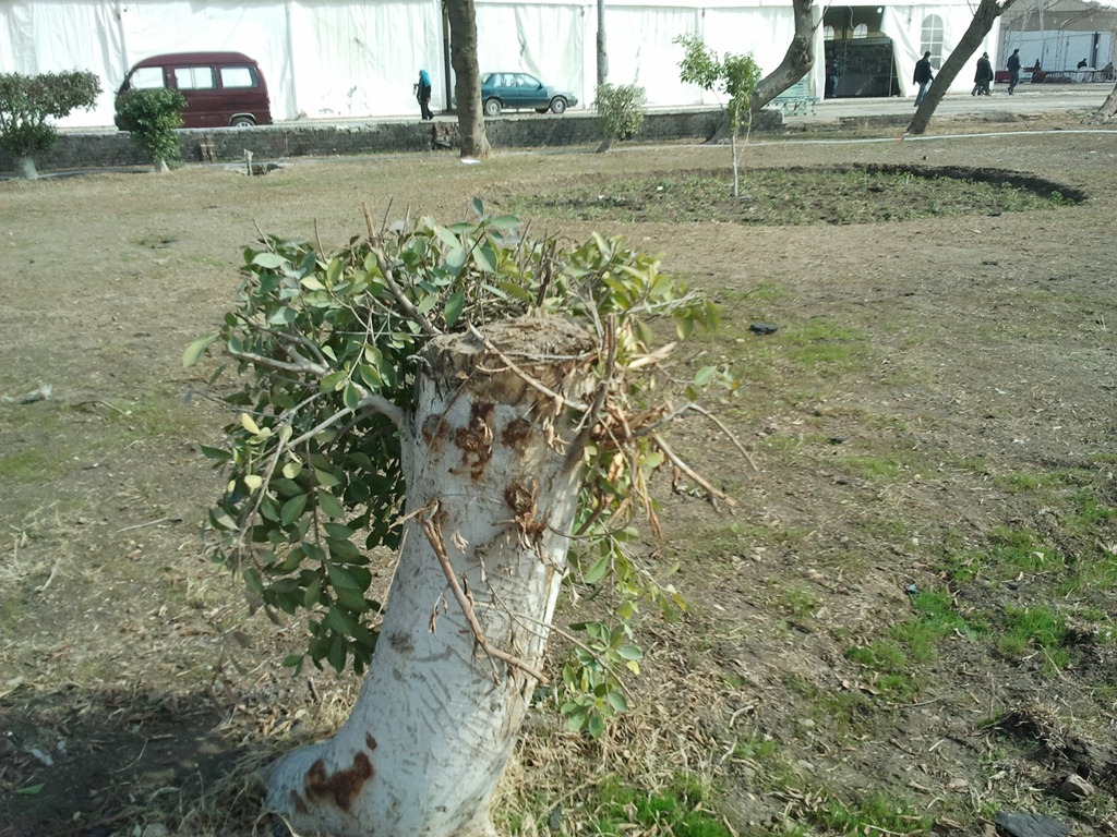 [2012-01-23%252012.24.31%255B3%255D.jpg]
