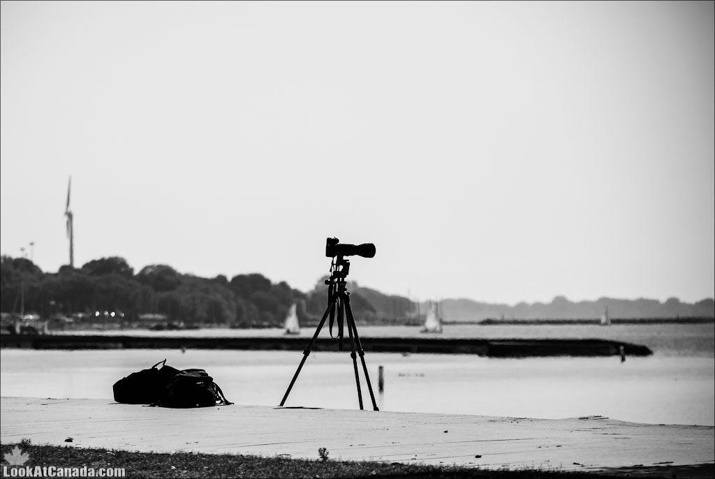 Черно-белая Канада