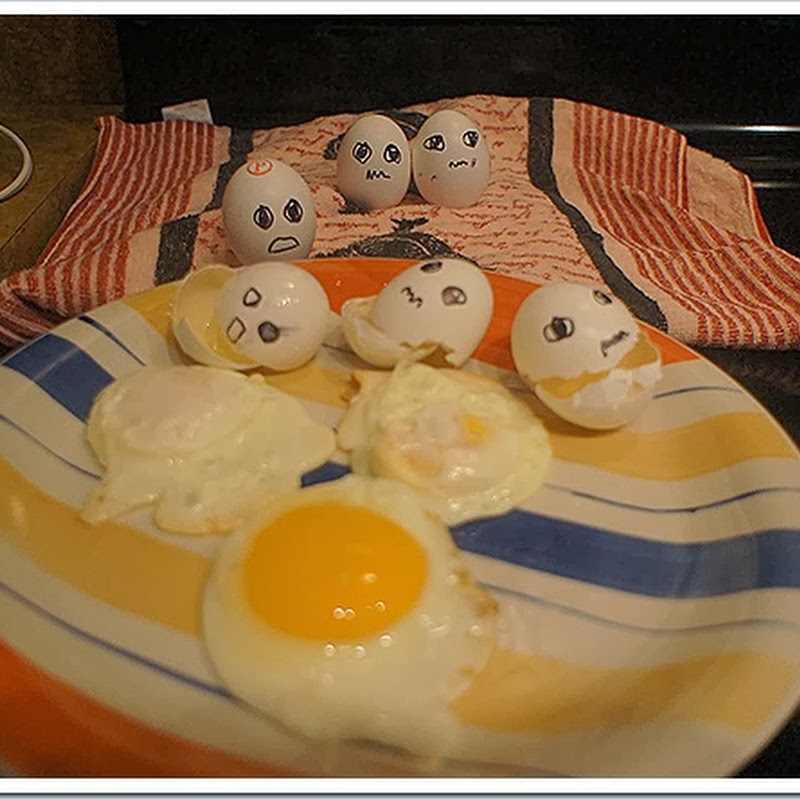 Funny egg photos (11 pics)