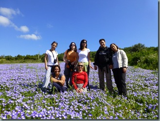 P1030140 P1030140