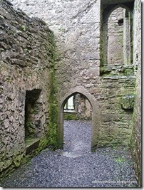 Connemara. Headford. Ruinas del convento Ross Errilly - P5081035