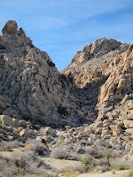 IMG_0838.JPG Photo