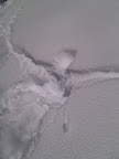 2010-04-25 13.03.53.jpg