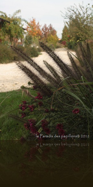 IMG_3307 IMG_3307