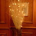 white twig trees.jpg