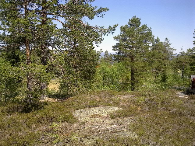 [ble-002%255B4%255D.jpg]