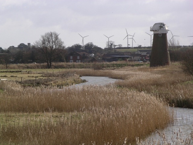 IMGP2115