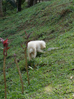 DSC05082.jpg DSC05082.jpg