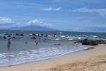 IMGP3105.jpg IMGP3105.jpg