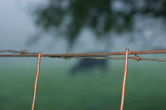 DSC_0056