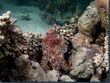 IMG_0240 IMG_0240