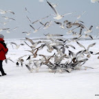 PC283285 [640x480].JPG