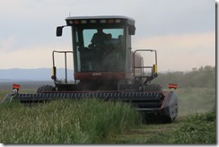 IMG_1991 IMG_1991