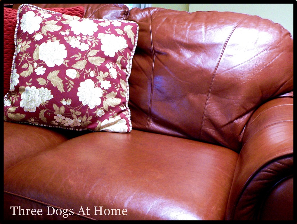 [couch-56.jpg]