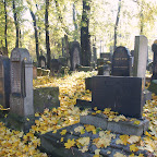 DSC_0780.JPG