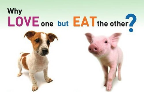 [going-vegan%255B3%255D.jpg]