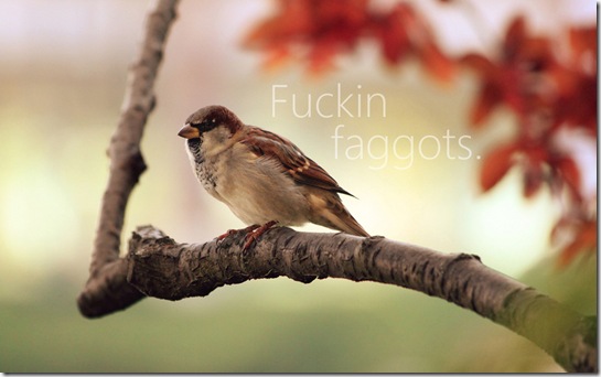 beautifully-offensive-obsenities-12