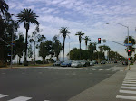 IMG00613-20100129-1159.jpg