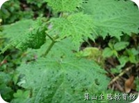 clip_image002[4]