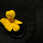 2008-07-23_00123.jpg