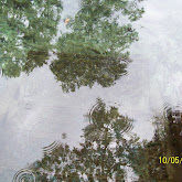 image_from_picasa