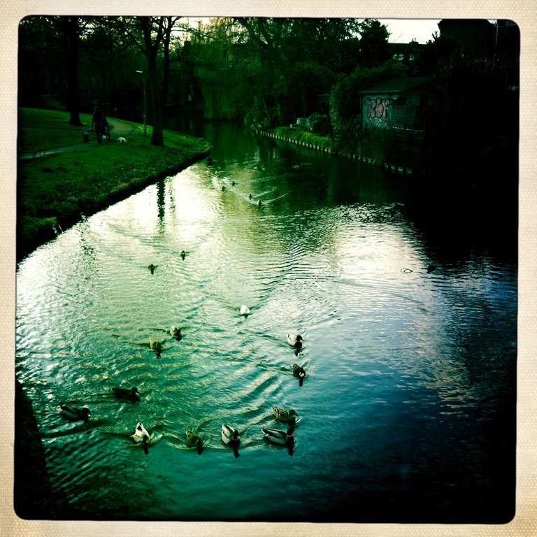 [IMG_1601%255B4%255D.jpg]