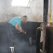 werk week manege 005.JPG