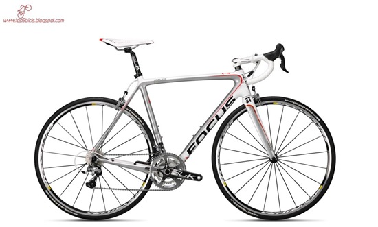 focus Izalco pro 3