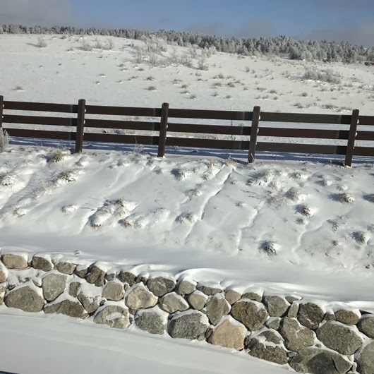 [IMG_1219%255B3%255D.jpg]