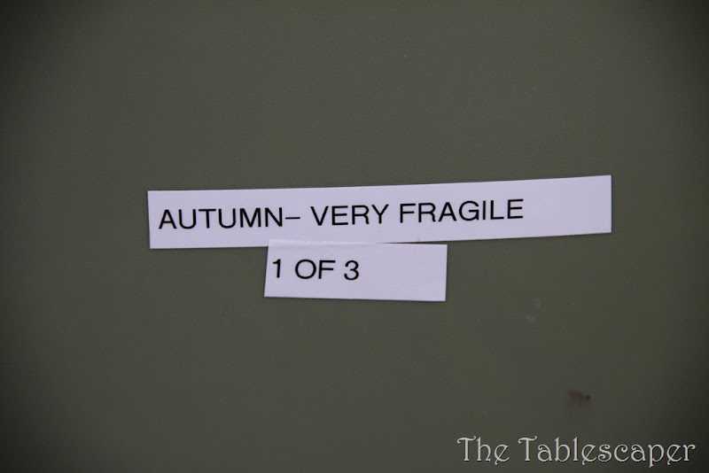 Thanksgiving 056