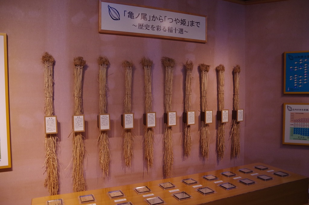 [IMGP4101%255B3%255D.jpg]