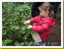 IMG_2794 IMG_2794