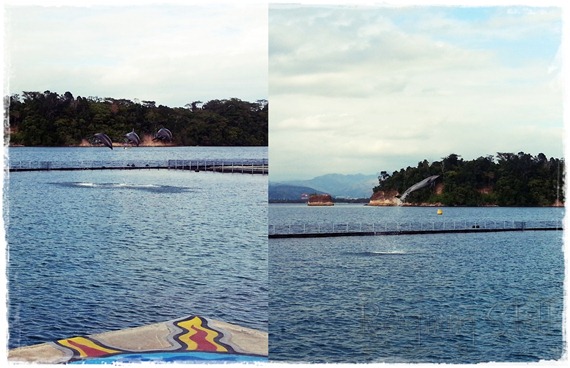 20130308_160254-horz