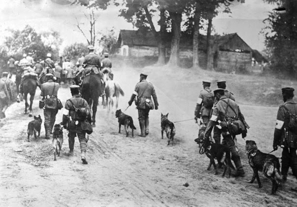 Primeira Guerra Mundial Primeira Guerra Mundial