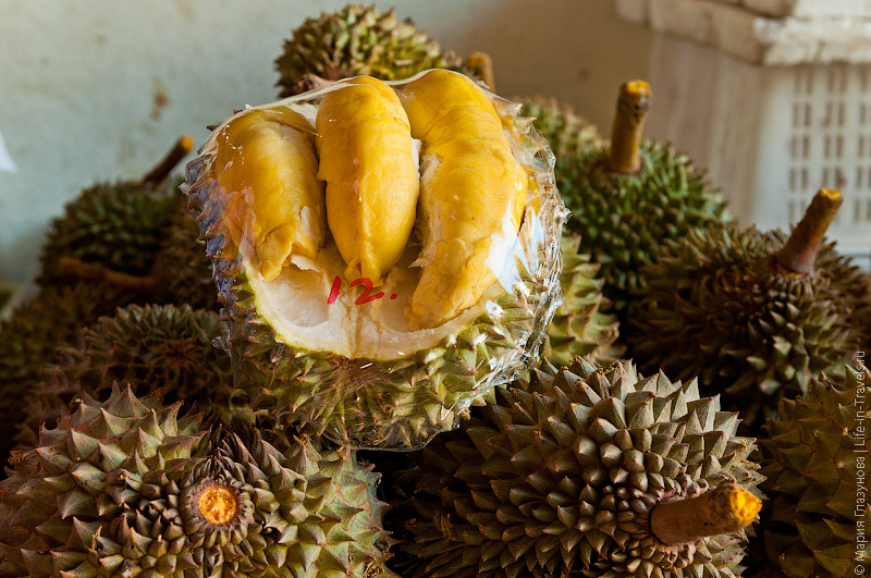 Дуриан (Durian)