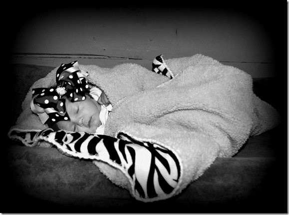 tara 524bw